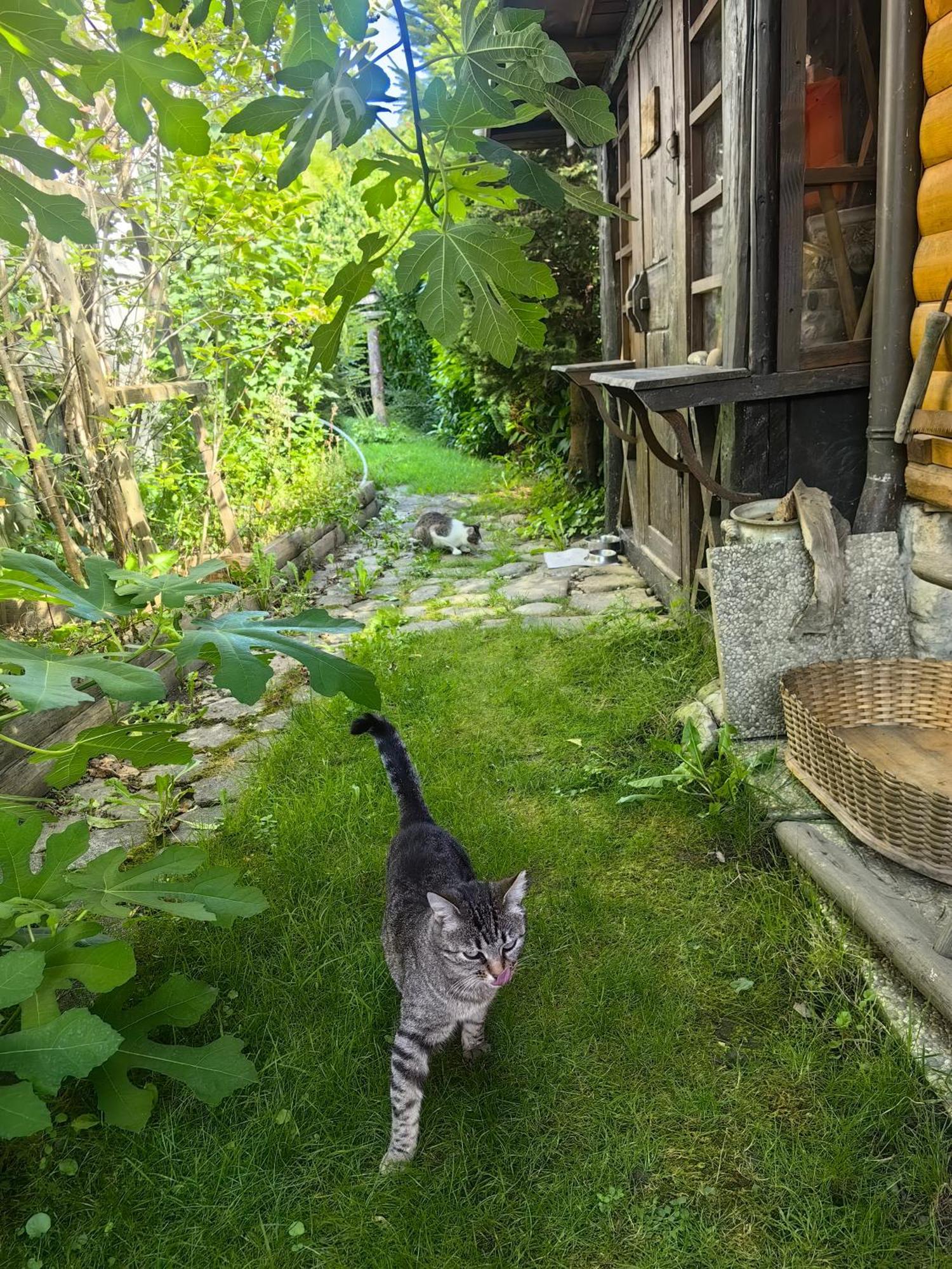 Hisa Hortenzija Luče エクステリア 写真