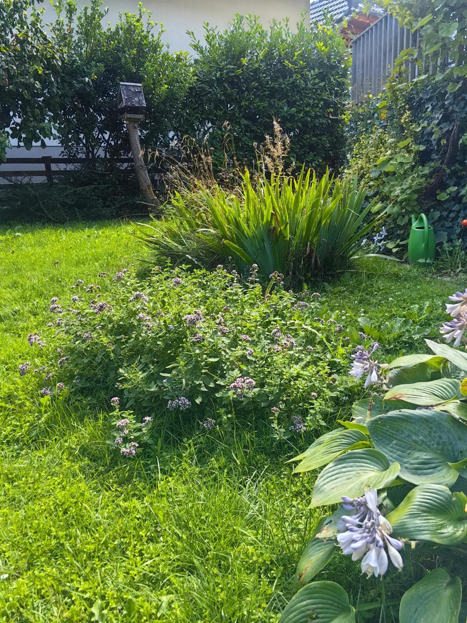 Hisa Hortenzija Luče エクステリア 写真