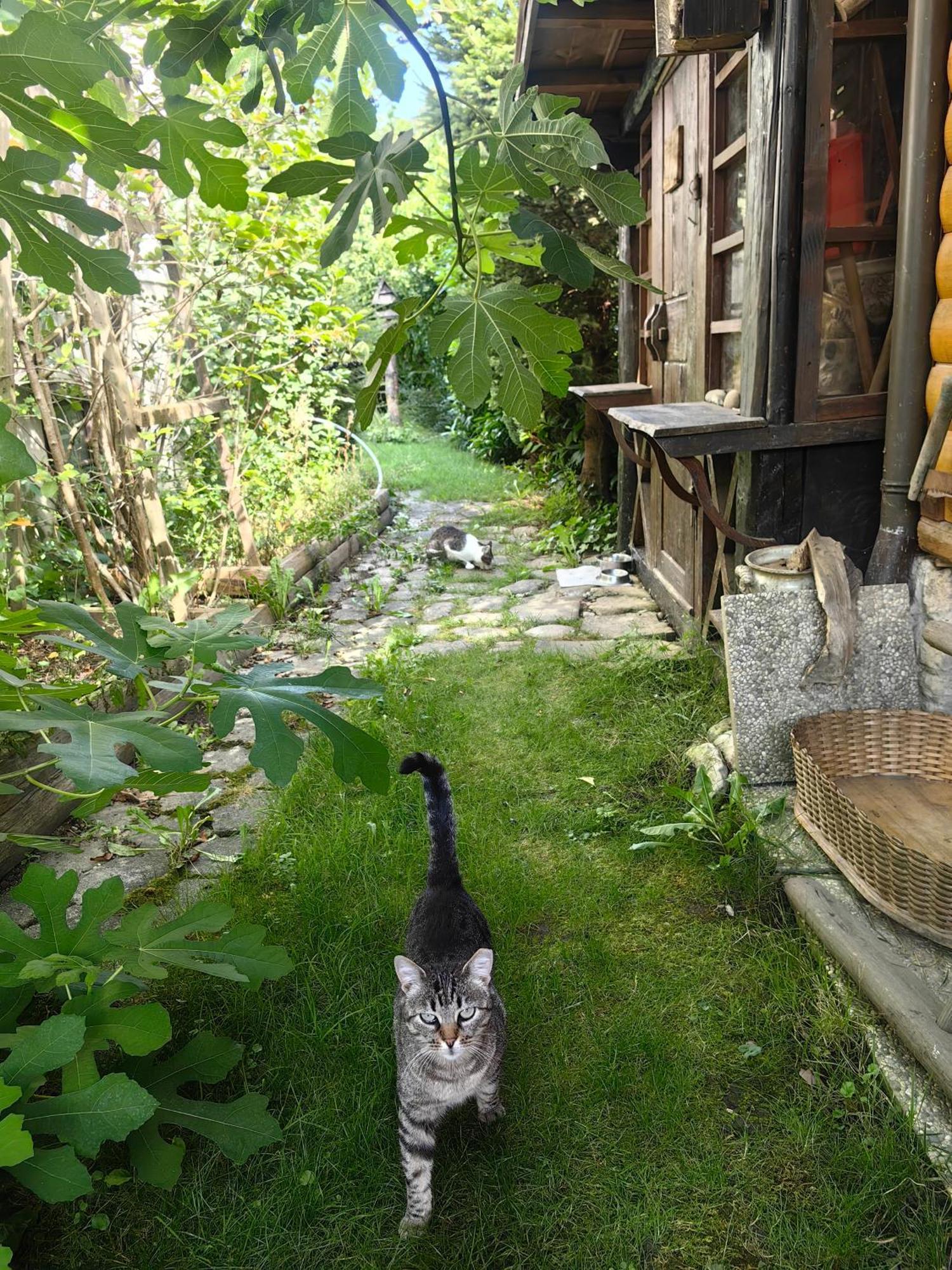 Hisa Hortenzija Luče エクステリア 写真